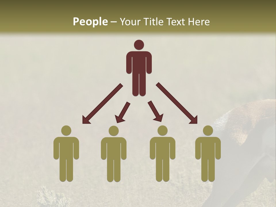 A Gazelle Standing In The Middle Of A Field PowerPoint Template