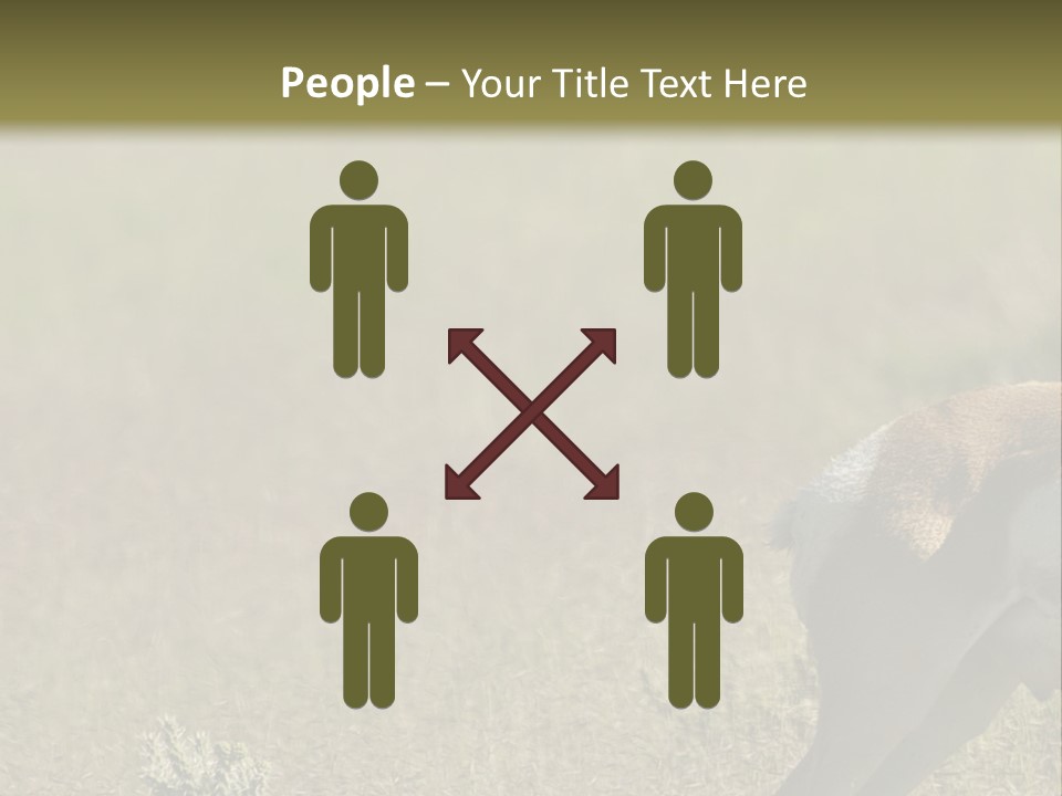 A Gazelle Standing In The Middle Of A Field PowerPoint Template