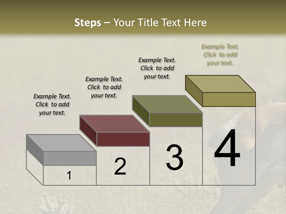 A Gazelle Standing In The Middle Of A Field PowerPoint Template