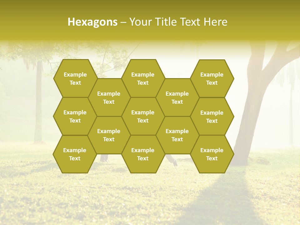 A Group Of Children Playing In A Park PowerPoint Template