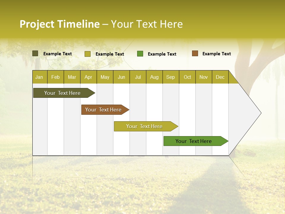 A Group Of Children Playing In A Park PowerPoint Template
