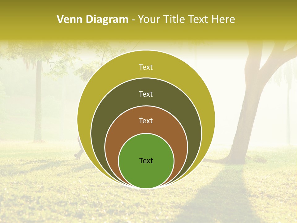 A Group Of Children Playing In A Park PowerPoint Template
