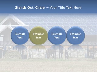 A Farm With Horses And A House With A Solar Panel On The Roof PowerPoint Template