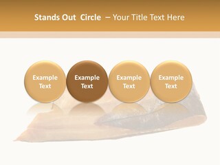 A Piece Of Bread With A Bite Taken Out Of It PowerPoint Template