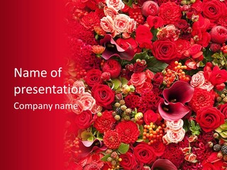 A Bunch Of Red Flowers On A Red Background PowerPoint Template