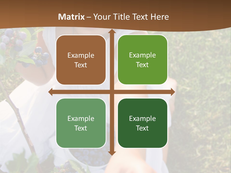 A Little Girl Sitting In The Grass With Blueberries PowerPoint Template