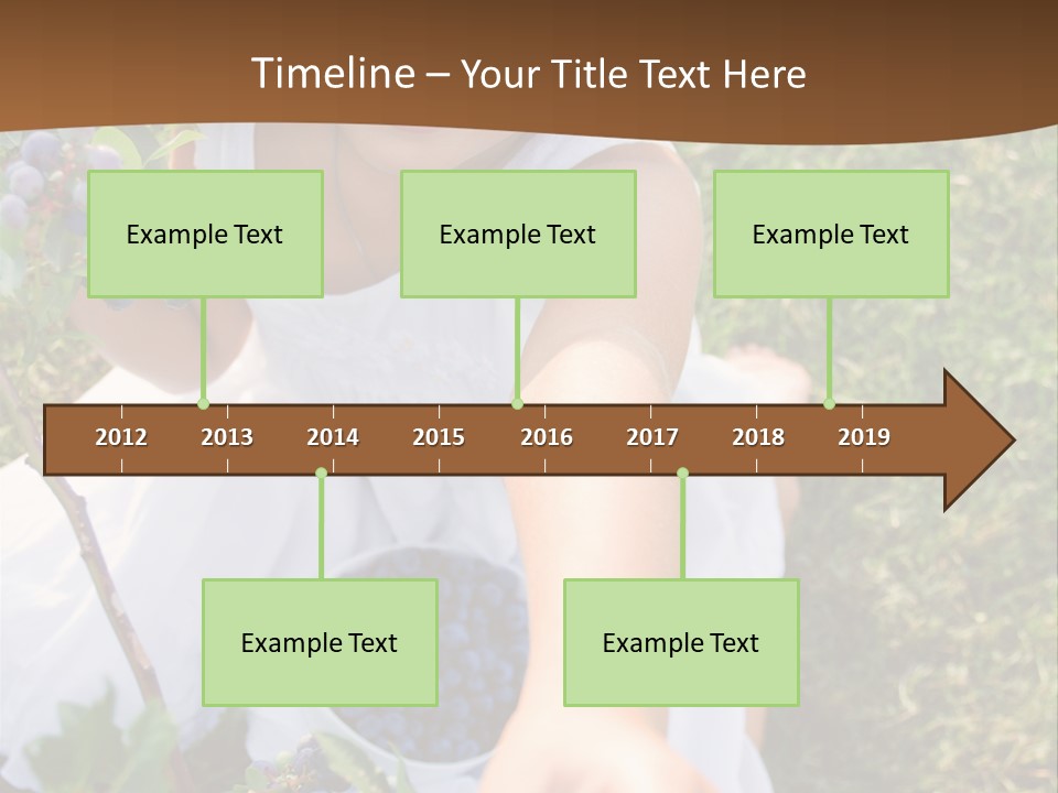 A Little Girl Sitting In The Grass With Blueberries PowerPoint Template