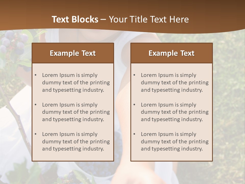 A Little Girl Sitting In The Grass With Blueberries PowerPoint Template