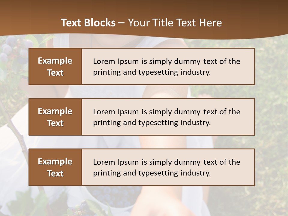 A Little Girl Sitting In The Grass With Blueberries PowerPoint Template