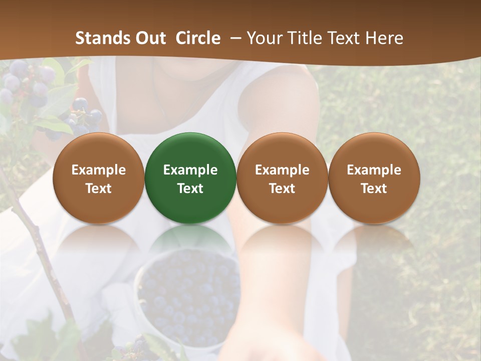 A Little Girl Sitting In The Grass With Blueberries PowerPoint Template