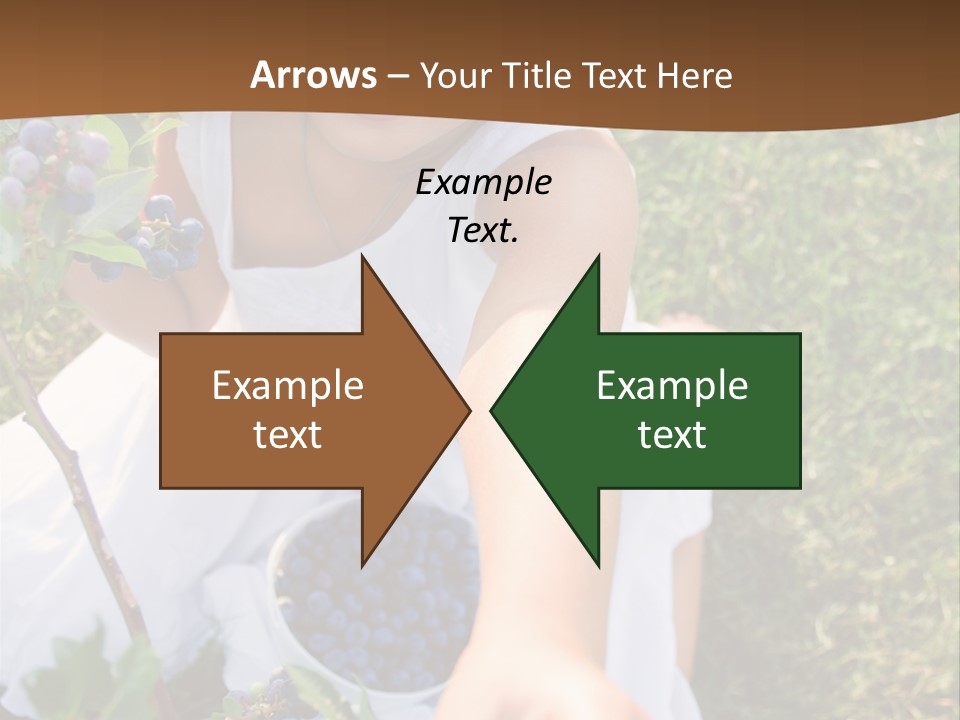 A Little Girl Sitting In The Grass With Blueberries PowerPoint Template