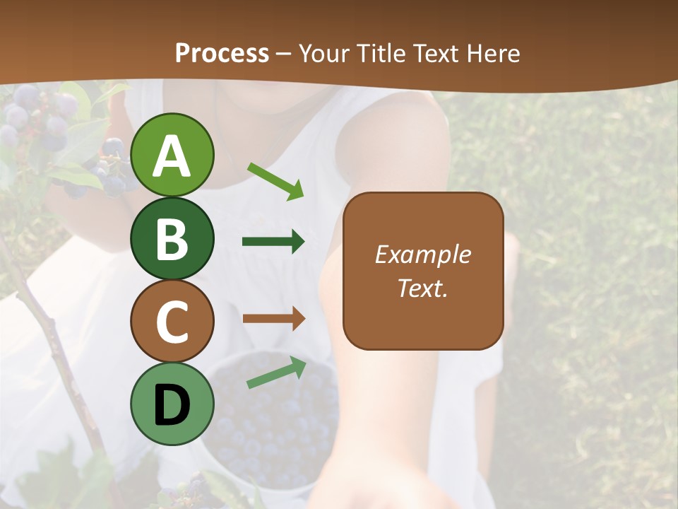 A Little Girl Sitting In The Grass With Blueberries PowerPoint Template