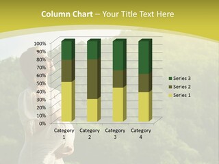 A Woman Standing In Front Of A Green Hillside PowerPoint Template