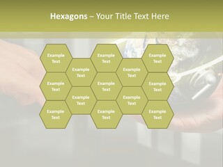 A Person Holding A Small Earth In Their Hands PowerPoint Template