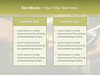 A Person Holding A Small Earth In Their Hands PowerPoint Template