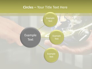 A Person Holding A Small Earth In Their Hands PowerPoint Template
