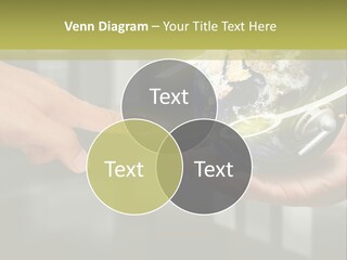 A Person Holding A Small Earth In Their Hands PowerPoint Template