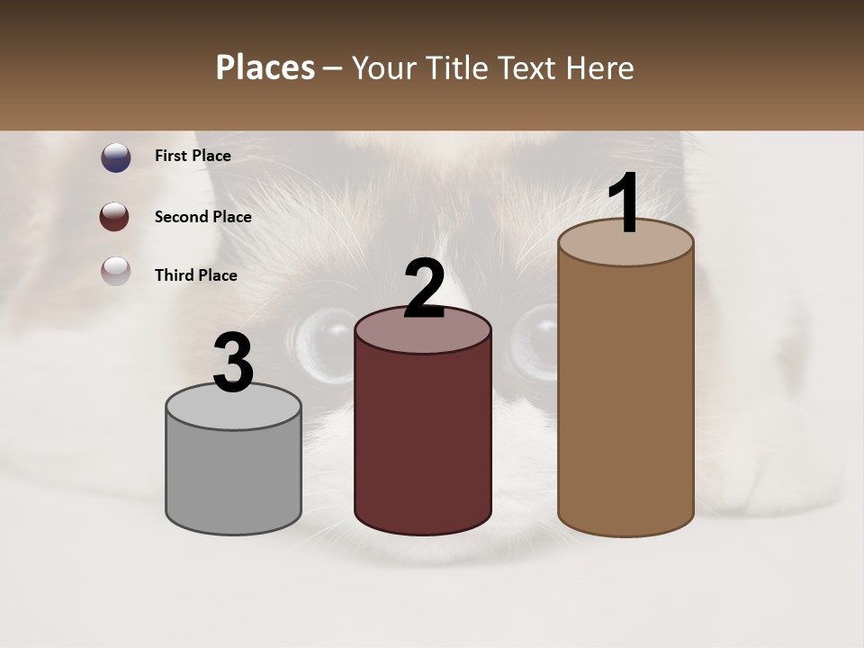 A Brown And White Cat With Blue Eyes Laying Down PowerPoint Template