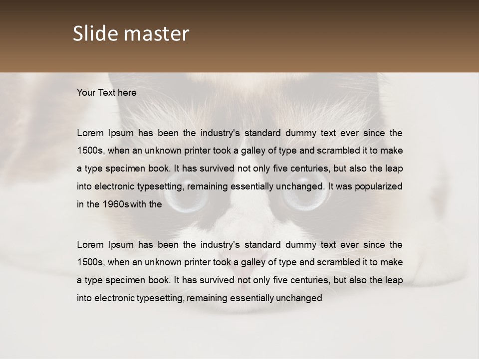 A Brown And White Cat With Blue Eyes Laying Down PowerPoint Template