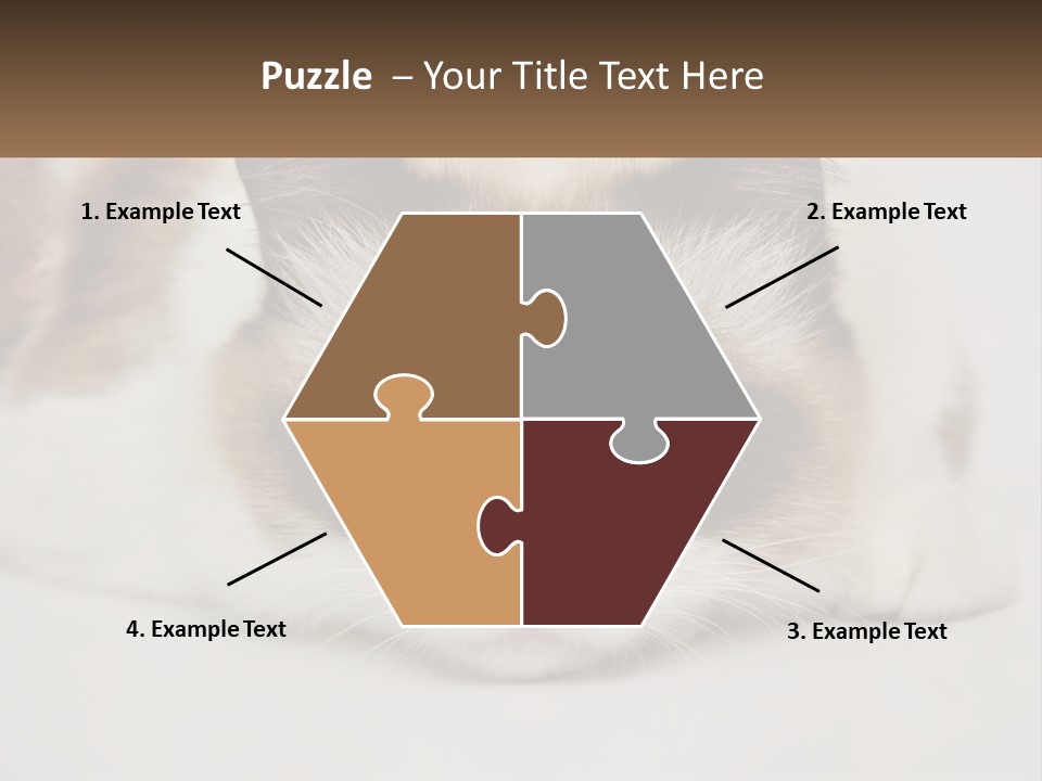 A Brown And White Cat With Blue Eyes Laying Down PowerPoint Template