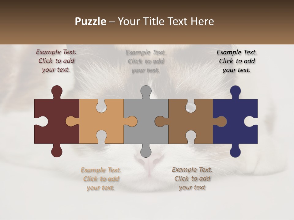 A Brown And White Cat With Blue Eyes Laying Down PowerPoint Template