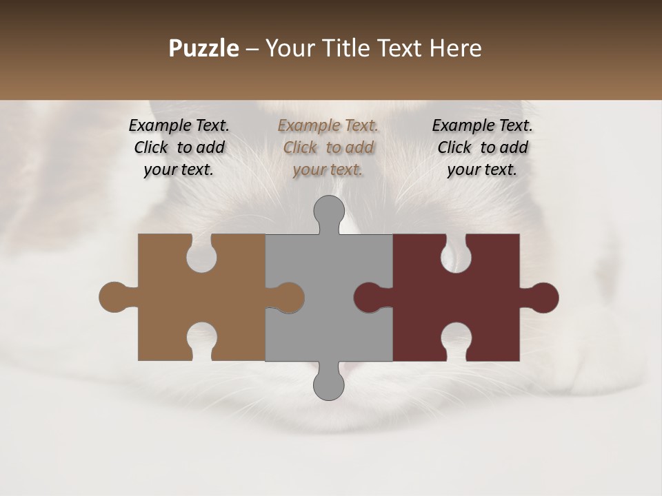 A Brown And White Cat With Blue Eyes Laying Down PowerPoint Template