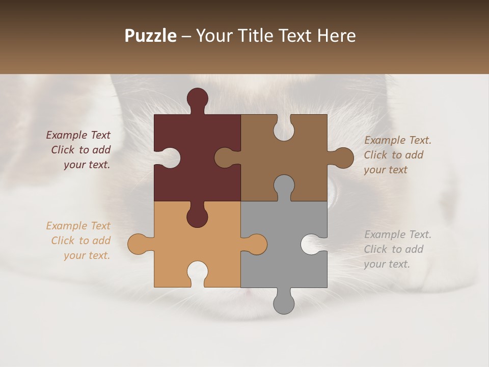 A Brown And White Cat With Blue Eyes Laying Down PowerPoint Template