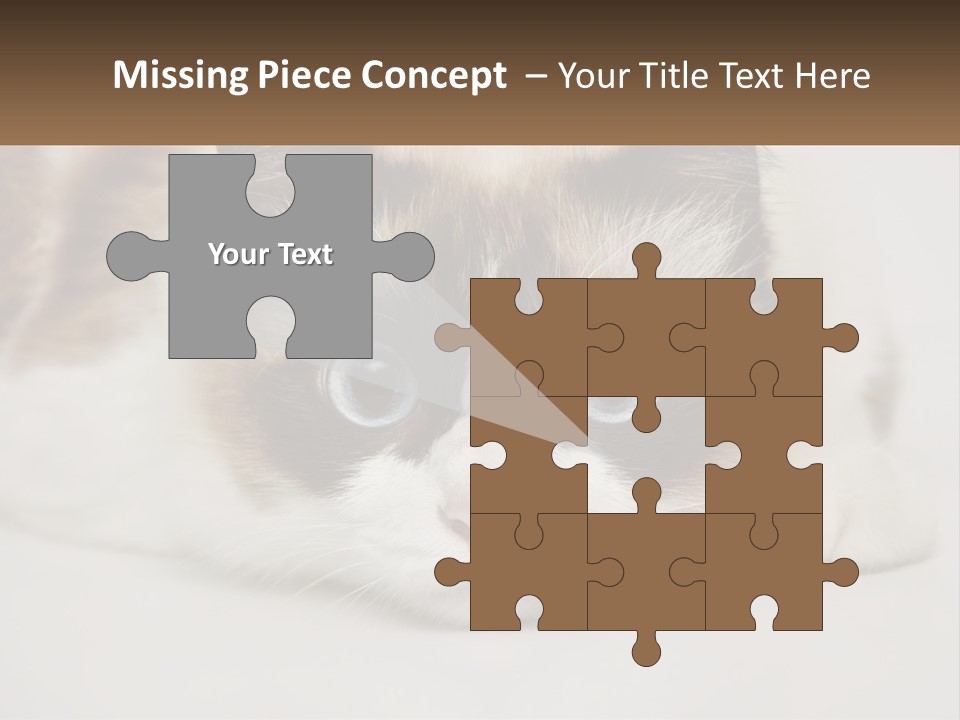 A Brown And White Cat With Blue Eyes Laying Down PowerPoint Template