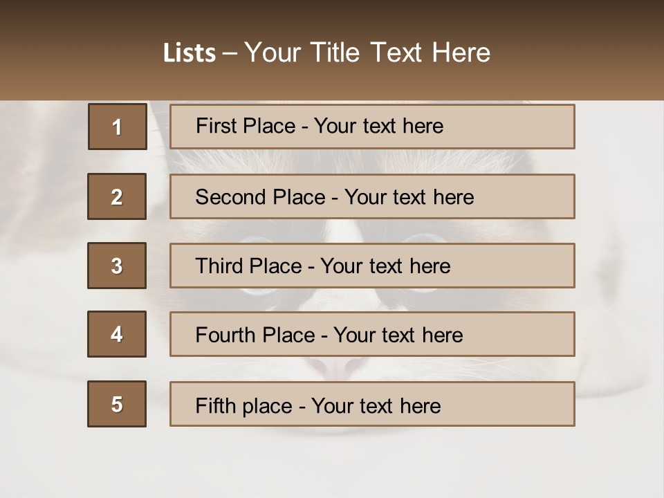A Brown And White Cat With Blue Eyes Laying Down PowerPoint Template