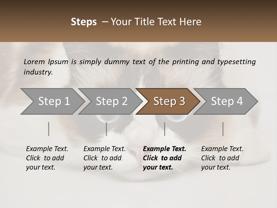 A Brown And White Cat With Blue Eyes Laying Down PowerPoint Template