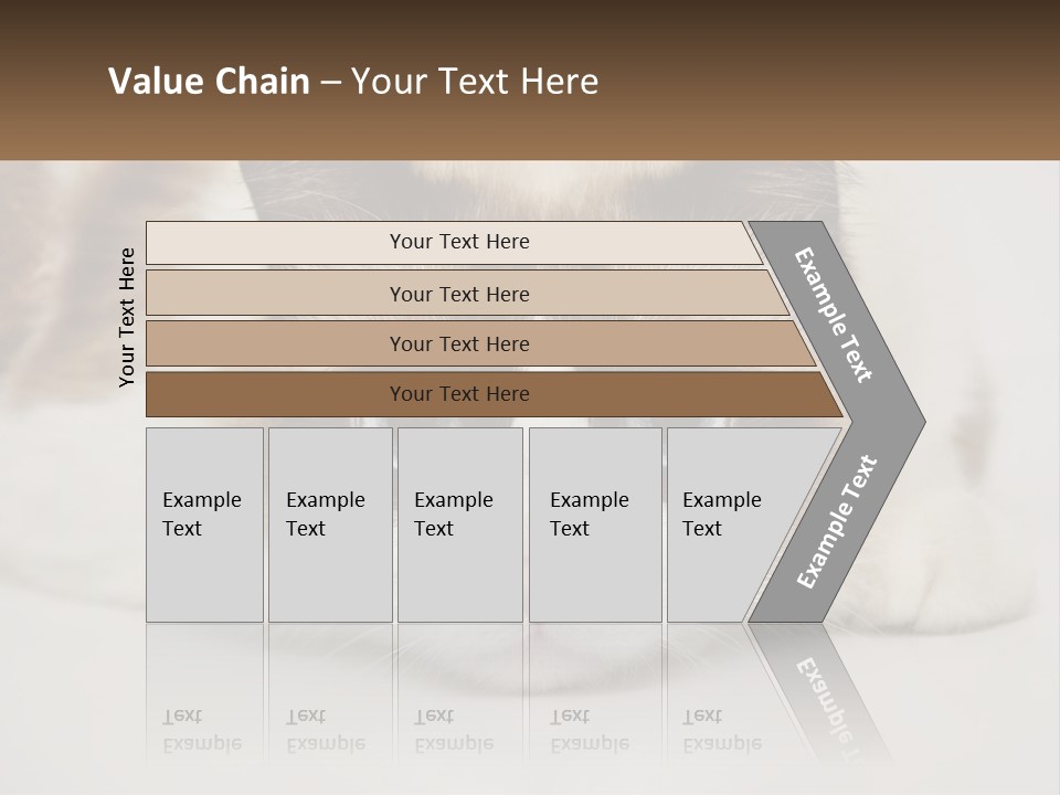 A Brown And White Cat With Blue Eyes Laying Down PowerPoint Template