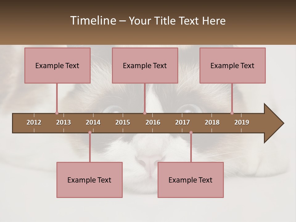 A Brown And White Cat With Blue Eyes Laying Down PowerPoint Template