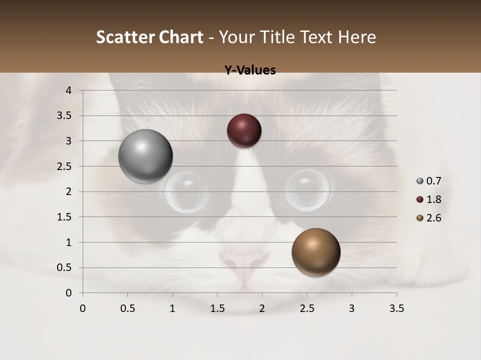 A Brown And White Cat With Blue Eyes Laying Down PowerPoint Template