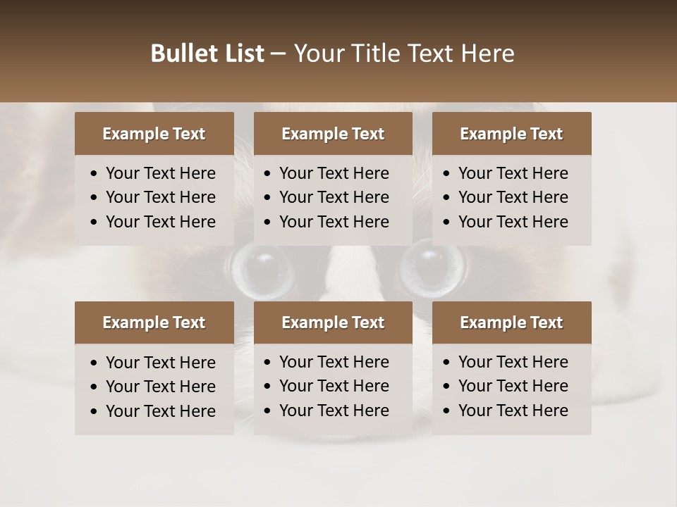 A Brown And White Cat With Blue Eyes Laying Down PowerPoint Template