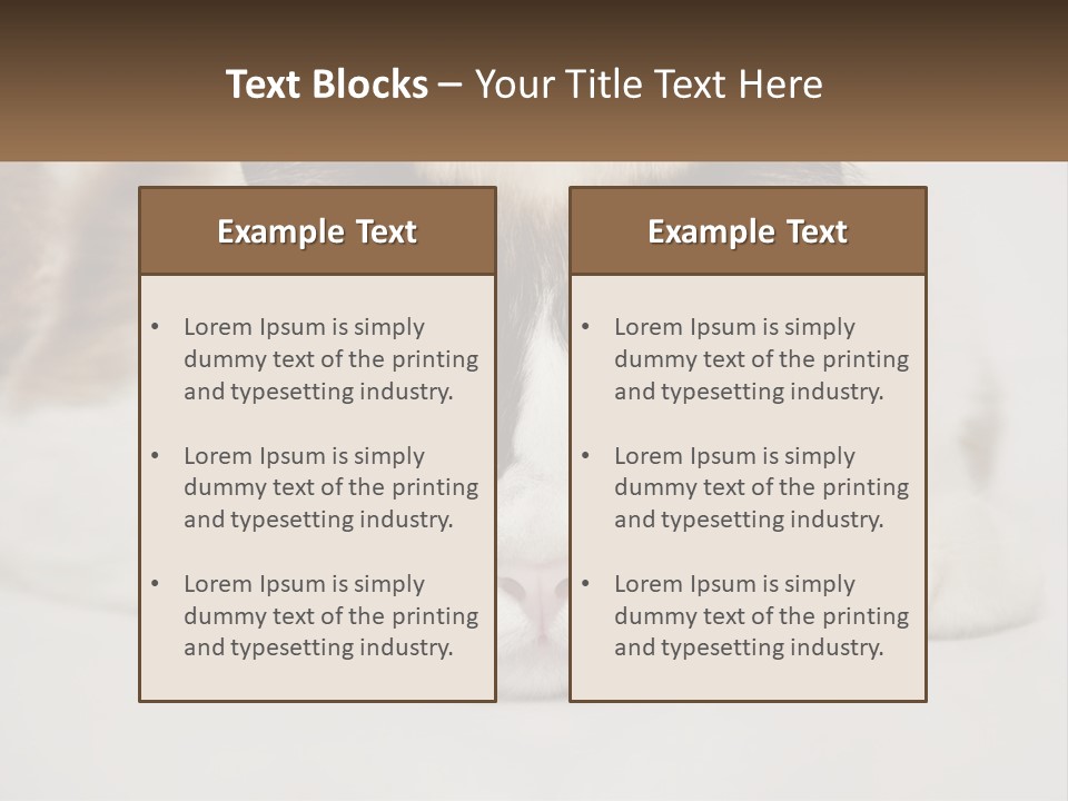 A Brown And White Cat With Blue Eyes Laying Down PowerPoint Template