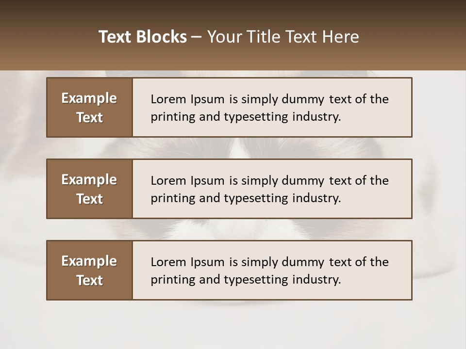 A Brown And White Cat With Blue Eyes Laying Down PowerPoint Template