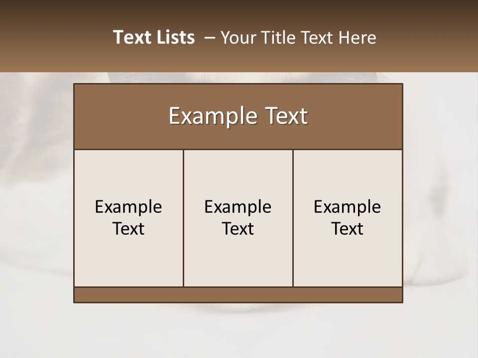 A Brown And White Cat With Blue Eyes Laying Down PowerPoint Template