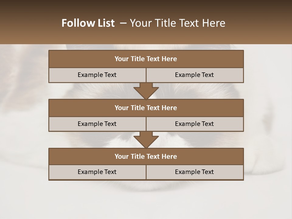 A Brown And White Cat With Blue Eyes Laying Down PowerPoint Template