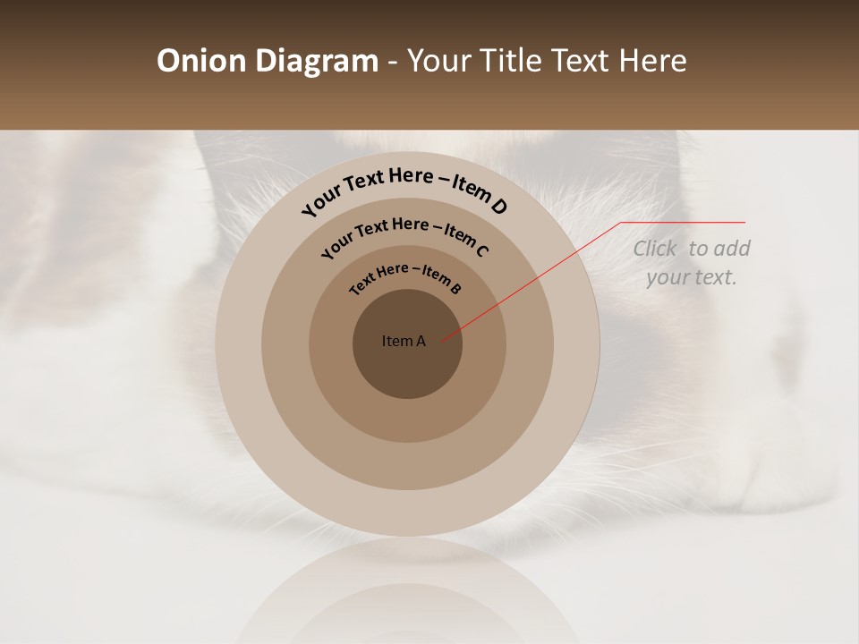 A Brown And White Cat With Blue Eyes Laying Down PowerPoint Template