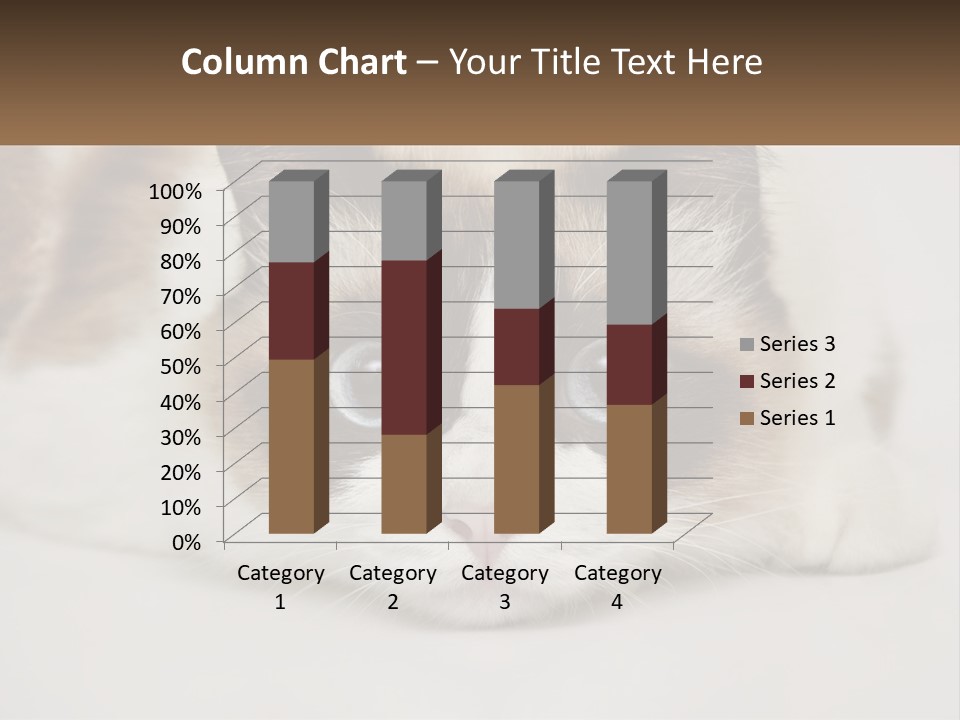 A Brown And White Cat With Blue Eyes Laying Down PowerPoint Template