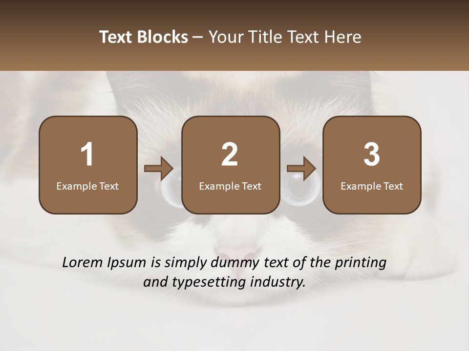 A Brown And White Cat With Blue Eyes Laying Down PowerPoint Template