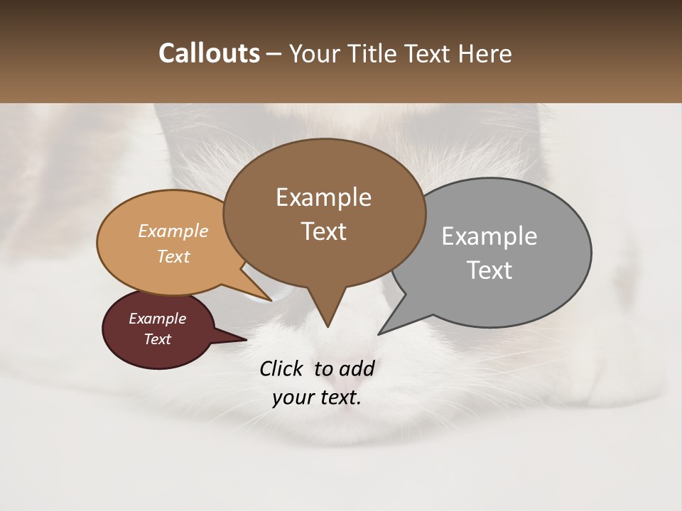 A Brown And White Cat With Blue Eyes Laying Down PowerPoint Template
