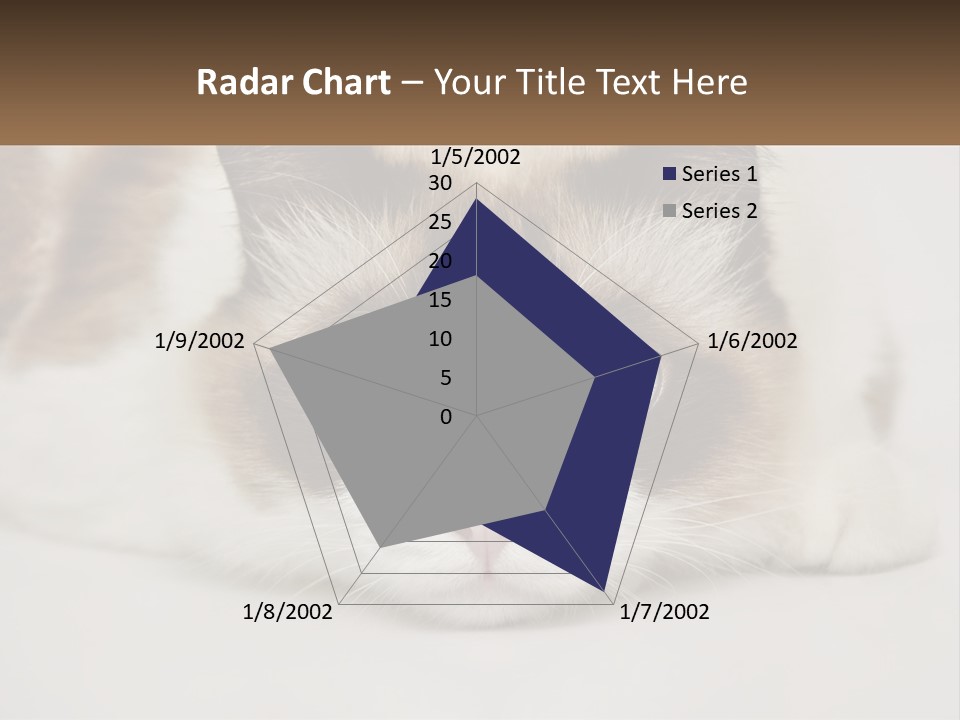 A Brown And White Cat With Blue Eyes Laying Down PowerPoint Template