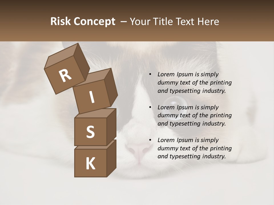 A Brown And White Cat With Blue Eyes Laying Down PowerPoint Template