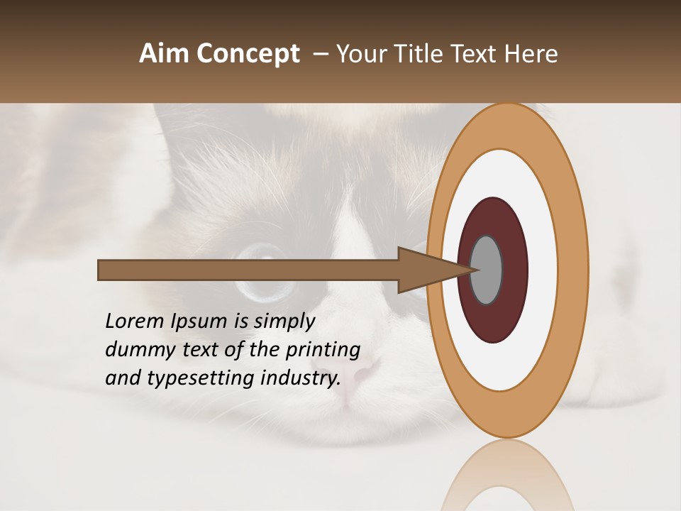 A Brown And White Cat With Blue Eyes Laying Down PowerPoint Template