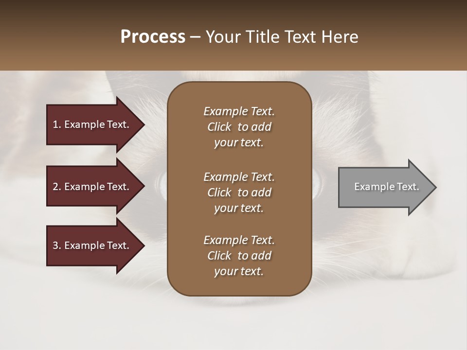 A Brown And White Cat With Blue Eyes Laying Down PowerPoint Template