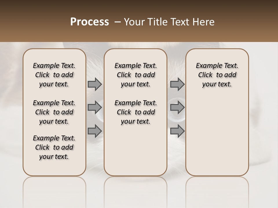 A Brown And White Cat With Blue Eyes Laying Down PowerPoint Template