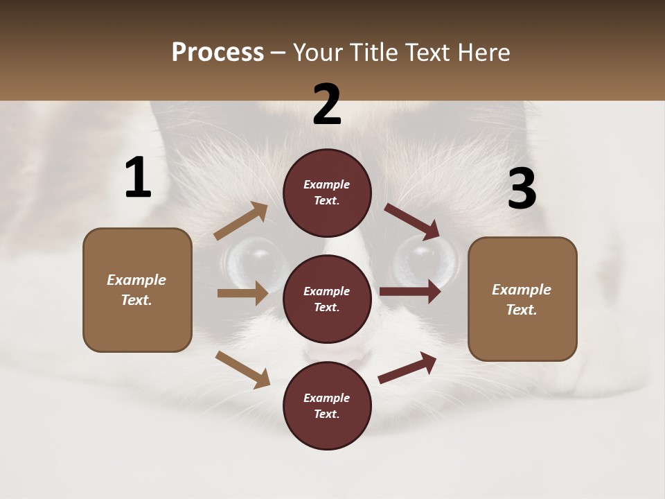 A Brown And White Cat With Blue Eyes Laying Down PowerPoint Template