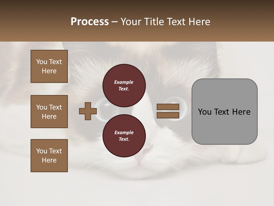 A Brown And White Cat With Blue Eyes Laying Down PowerPoint Template