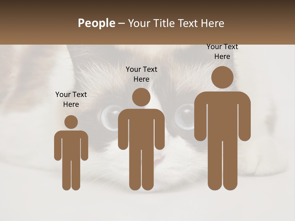 A Brown And White Cat With Blue Eyes Laying Down PowerPoint Template